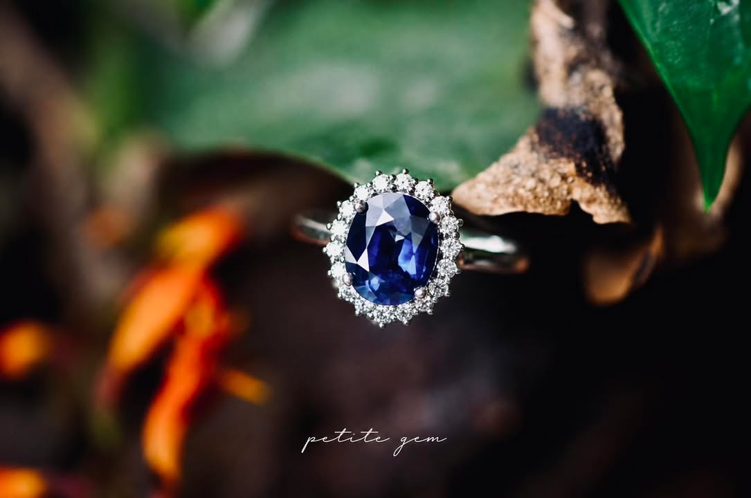 Nhẫn sapphire tự nhiên xanh oval viền kim cương vàng trắng