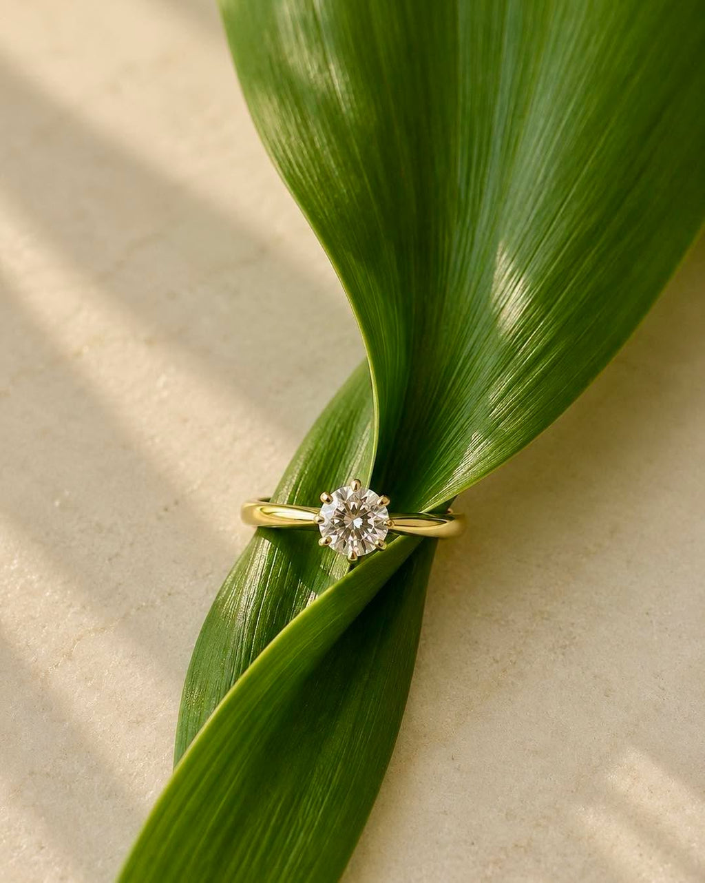 Nhẫn vương miện moisanite 6mm